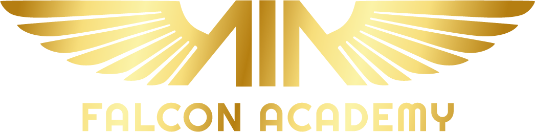 Falcon Academy